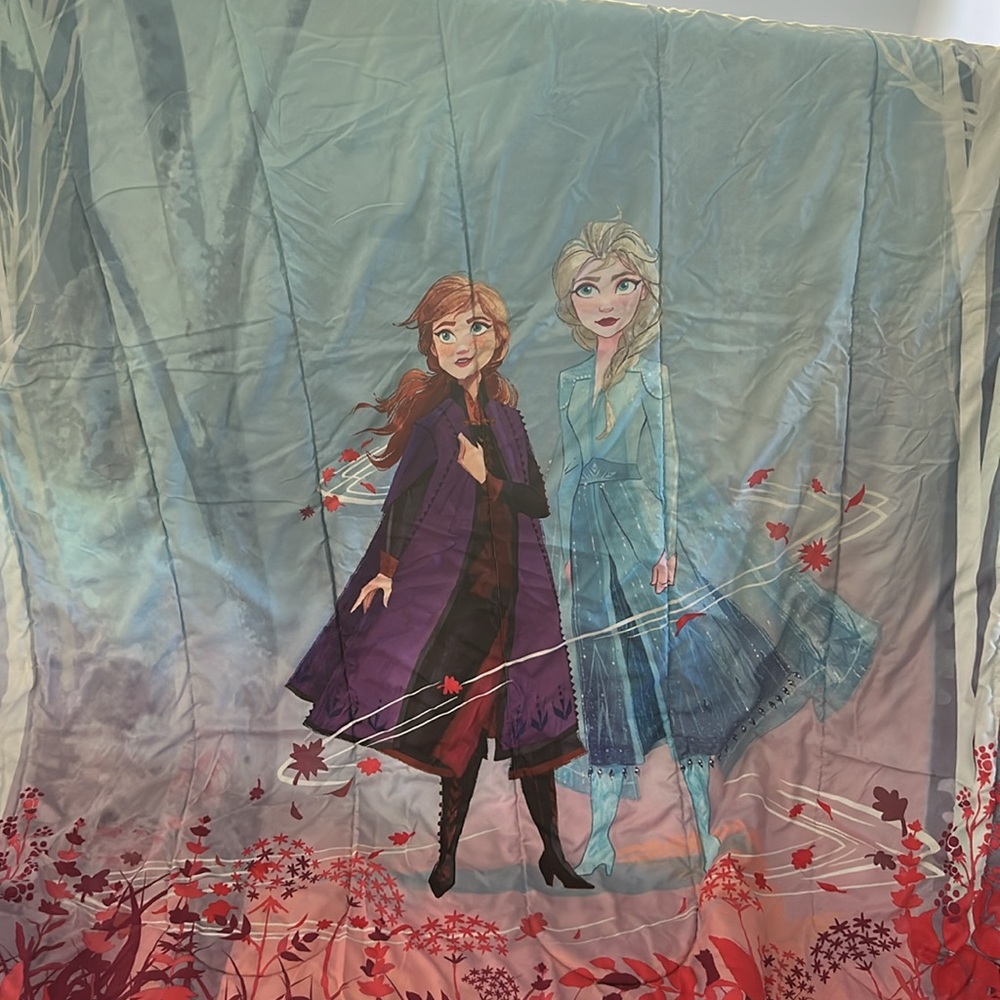 Frozen Themed twin Comforter set with Anna and Elsa